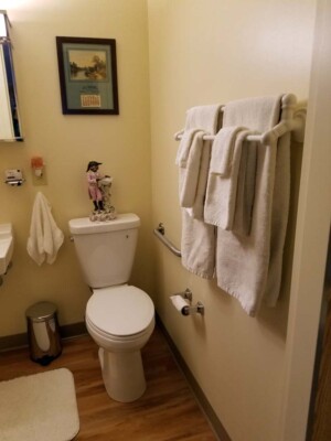 Hale Living Bathroom