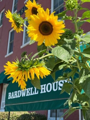bardwell house flowers
